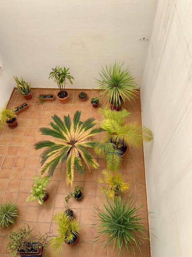 Apartamento En El Centro, Tranquilo Y Luminoso Малага Экстерьер фото
